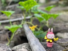 -泡泡玛特POPMART(上海环球港店)