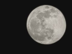 -小六汤包·老字号·中华名小吃(公园南路店)