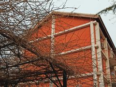 -北京大学燕东园