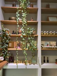 -芳香乐府SPA·五行芳疗