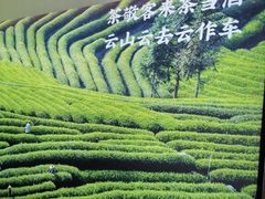 -湘邻呷铺·田园家宴(汉基广场店)