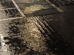 -荔湾湖公园