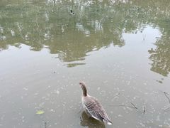 -西安浐灞国家湿地公园
