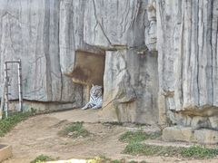 -无锡动物园·太湖欢乐园