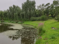-东郊湿地公园