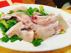 -金砂阿洲鱼册店