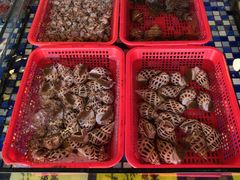 -顺德了能馆(虎门店)