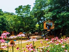 -石塘人家