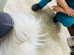 -美联众合动物医院·24h转诊中心
