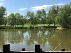 -银树楼(紫玉山庄东区店)