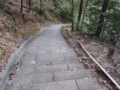 -火炉山森林公园