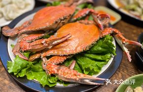 Live Large Female Flying Crab