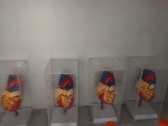 -Xcape异时刻密室逃脱魔法互动(瑞虹天地太阳宫店)