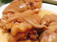 -丁老爷子苏香圆