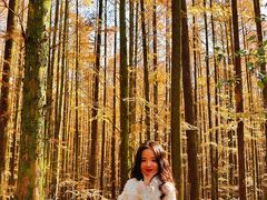 -山王坪喀斯特国家生态公园