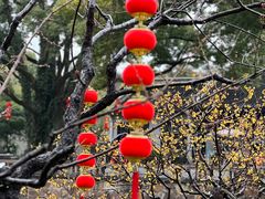 -无锡梅园公园