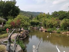 -河源客天下-温泉小镇