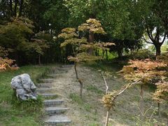 -水绘园