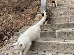 -北京凤凰岭