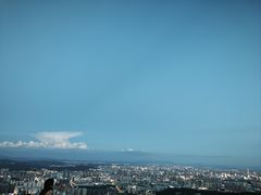 -长虫山生态公园风景林