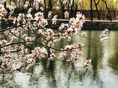 -颐和园