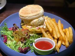 -Famous肥猫墨西哥音乐餐吧(五棵松华熙LIVE店)