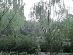 -元大都城垣遗址公园
