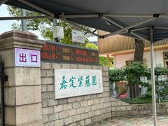 -嘉定紫藤园