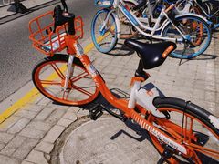 -苏州河梦清园环保主题公园