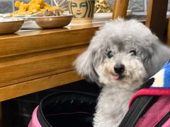 -盈田盈粥庄(博山东路店)