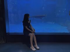 -烟台海昌鲸鲨海洋公园