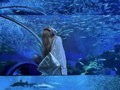 -海合安成都极地海洋公园