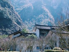 -温州永嘉书院