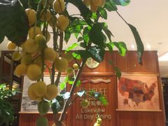 -景湖轩全日制餐厅·南湖名都