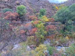 -百里山水画廊乌龙峡谷