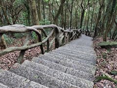 -梧桐山风景名胜区