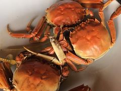 -军山湖云水间水上餐厅(进贤店)