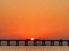 -宝安西湾红树林湿地公园