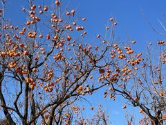 -张坊宋辽古战道