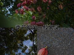 -西湖文化广场