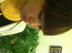 Clover Beauty四叶美睫-Clover Beauty四葉美睫