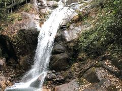 -九龙江国家森林公园