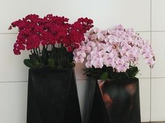 -广州白云国际机场-T2航站楼