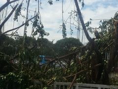 -厦门高崎国际机场-T3航站楼