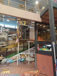 -卡通尼·Safari非洲探索乐园·生日会(金桥国际商业广场店)