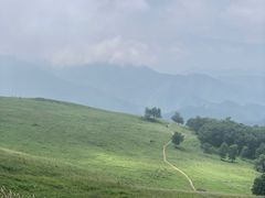 -灵山