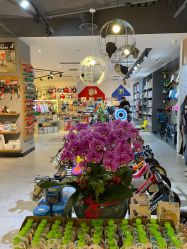 -国际蓝孩BabyInternational(杭州嘉里中心店)