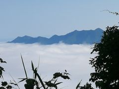 -塔云山