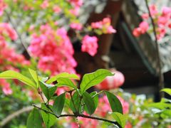 -伴山茶苑·围炉煮茶