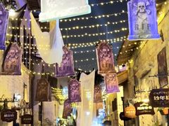 -华谊兄弟（长沙）电影小镇